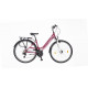 Neuzer Ravenna 100