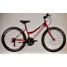 Montana 26" MTB